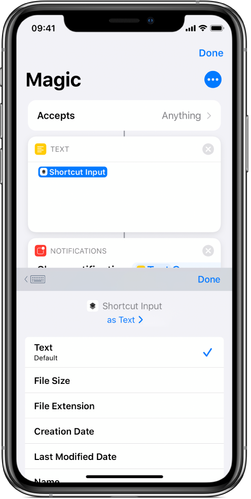 Selectable Magic Variable in shortcut editor.